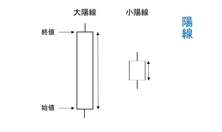 陽線